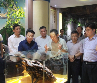 “降成本，優(yōu)環(huán)境”助企業(yè)騰飛——江西省政協(xié)副主席率團(tuán)調(diào)研仙客來(lái)！