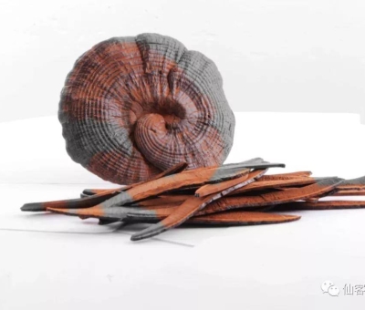 先，鮮，仙，一杯飲盡天下鮮。