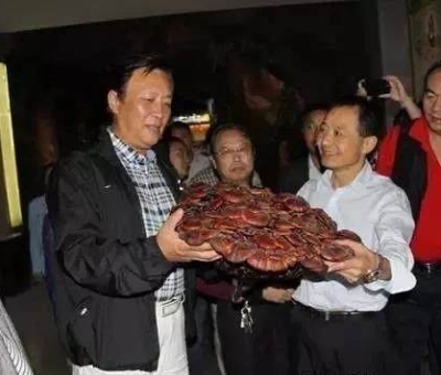 這樣過三月才是人生贏家！