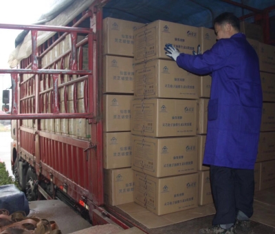 【4天加班15次缺貨】只為人皆有“芝”！