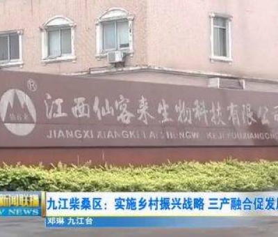 中國人只需要“別具”，缺失了“匠心”！