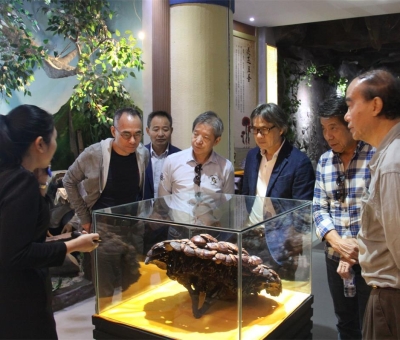 健康“良方”在這！全國政協(xié)委員、世界著名大學香港大學 榮譽院士孫少文博士蒞臨仙客來公司參觀考察