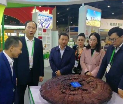 仙客來綠色有機靈芝在第十七屆中國國際農(nóng)產(chǎn)品交易會一展風采
