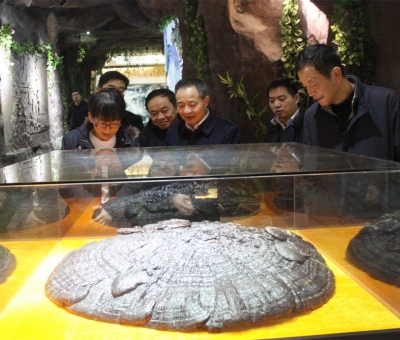 國家民委領導蒞臨仙客來公司考察調(diào)研