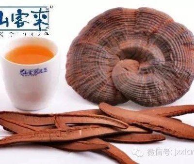 熱潮不斷！仙客來有機(jī)靈芝被點(diǎn)贊刷屏