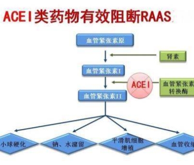 不吃藥，能降低高血壓？