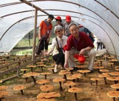 “七一勛章”獲得者張桂梅背后的故事：他們將靈芝磨成粉，送給她拌飯吃，說，吃這些能治病