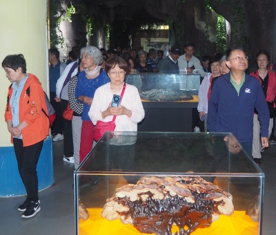 深深靈芝情！中華全國供銷合作總社再訪仙客來