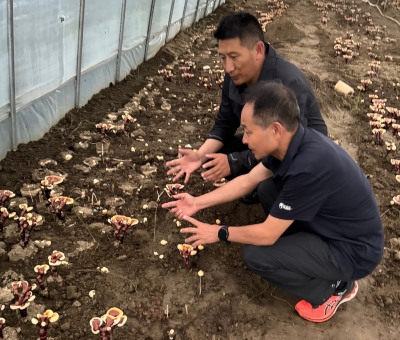 助力少數(shù)民族地區(qū)發(fā)展！潘新華應(yīng)邀前往西藏拉薩市和林芝市 共商產(chǎn)業(yè)發(fā)展良策